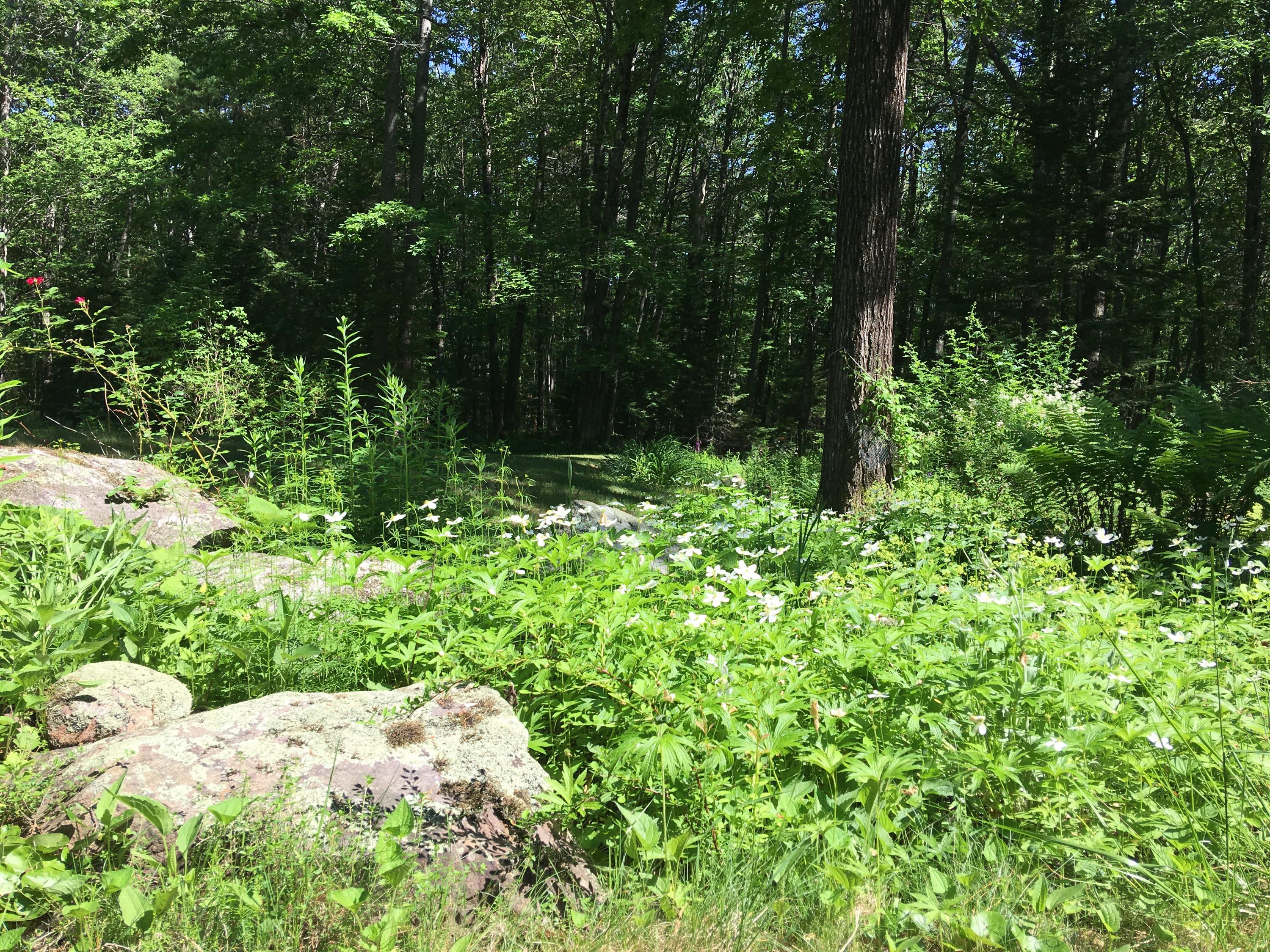 149 Town Farm Road New Gloucester, ME 04260 - Photo 33 of 34 Yard