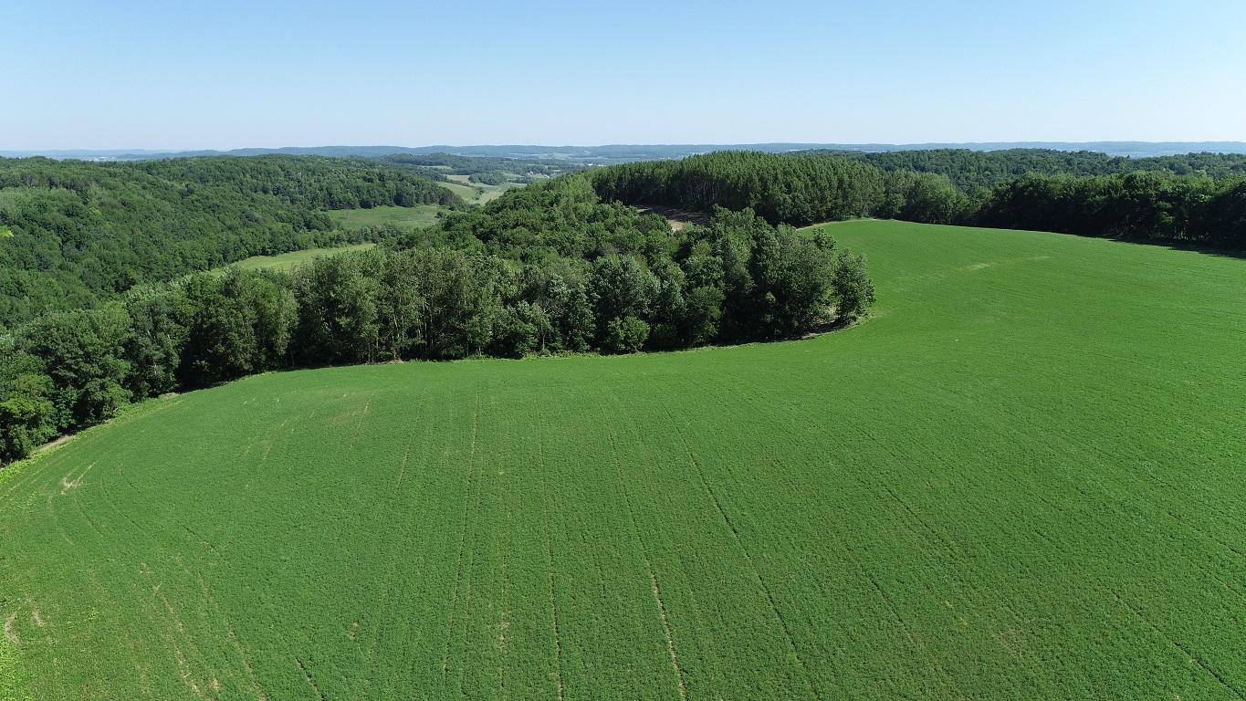 S433 Steinke Road Mondovi, WI 54755 - Photo 1 of 1 Gallery Image 1