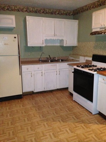 520 North Spring Street Elgin, IL 60120 - Photo 9 of 9