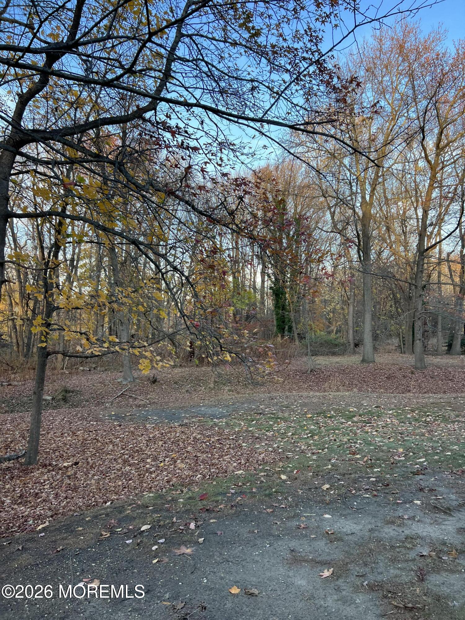 91 Paddock Court Oceanport, NJ 07757 - Photo 12 of 17 a view of a yard with large trees