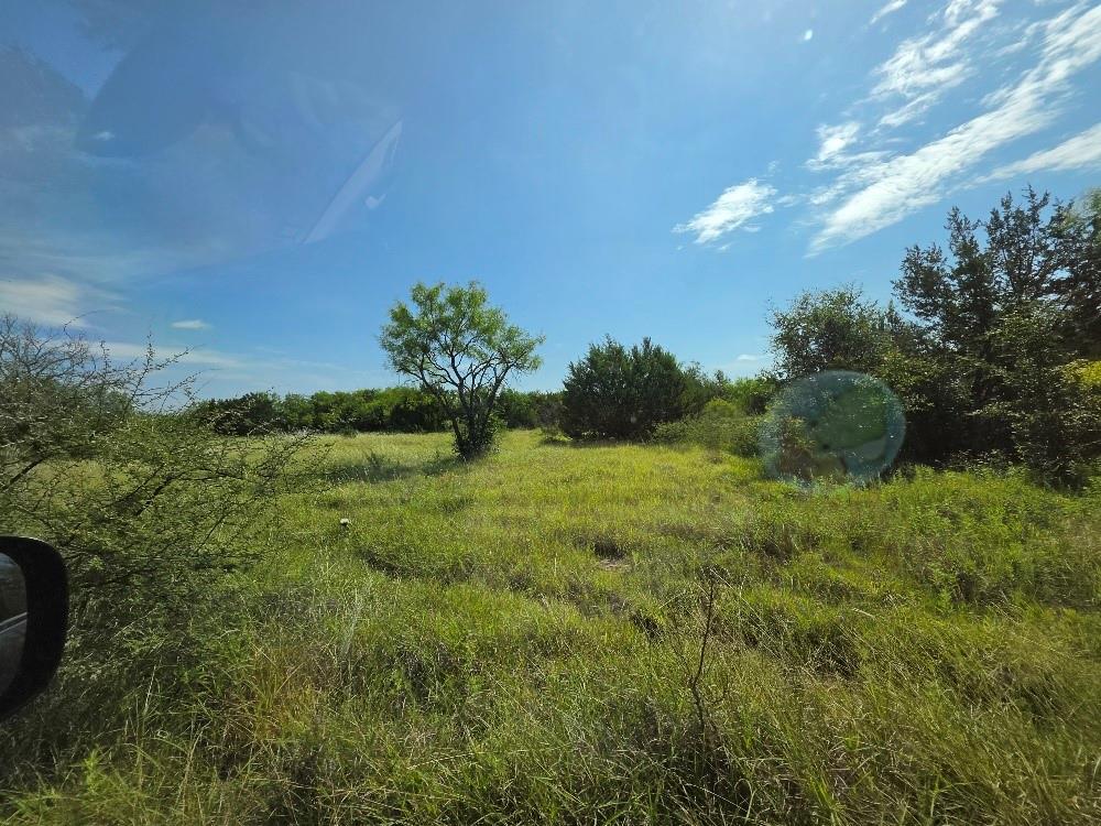 0 County Road Iredell, TX 76649 - Photo 2 of 11