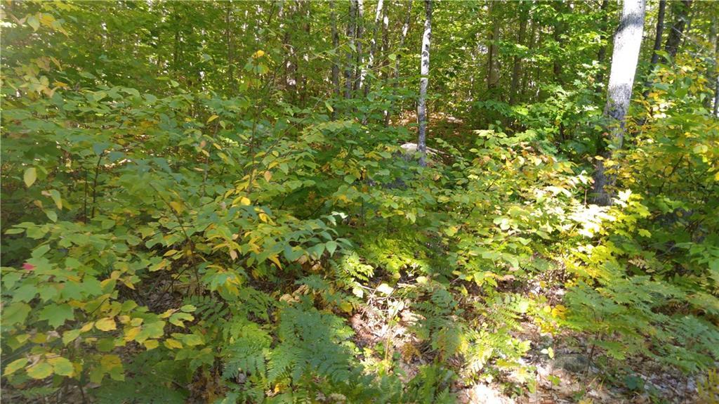 0 Notched Pond Road Raymond, ME 04071 - Photo 1 of 2 Photo