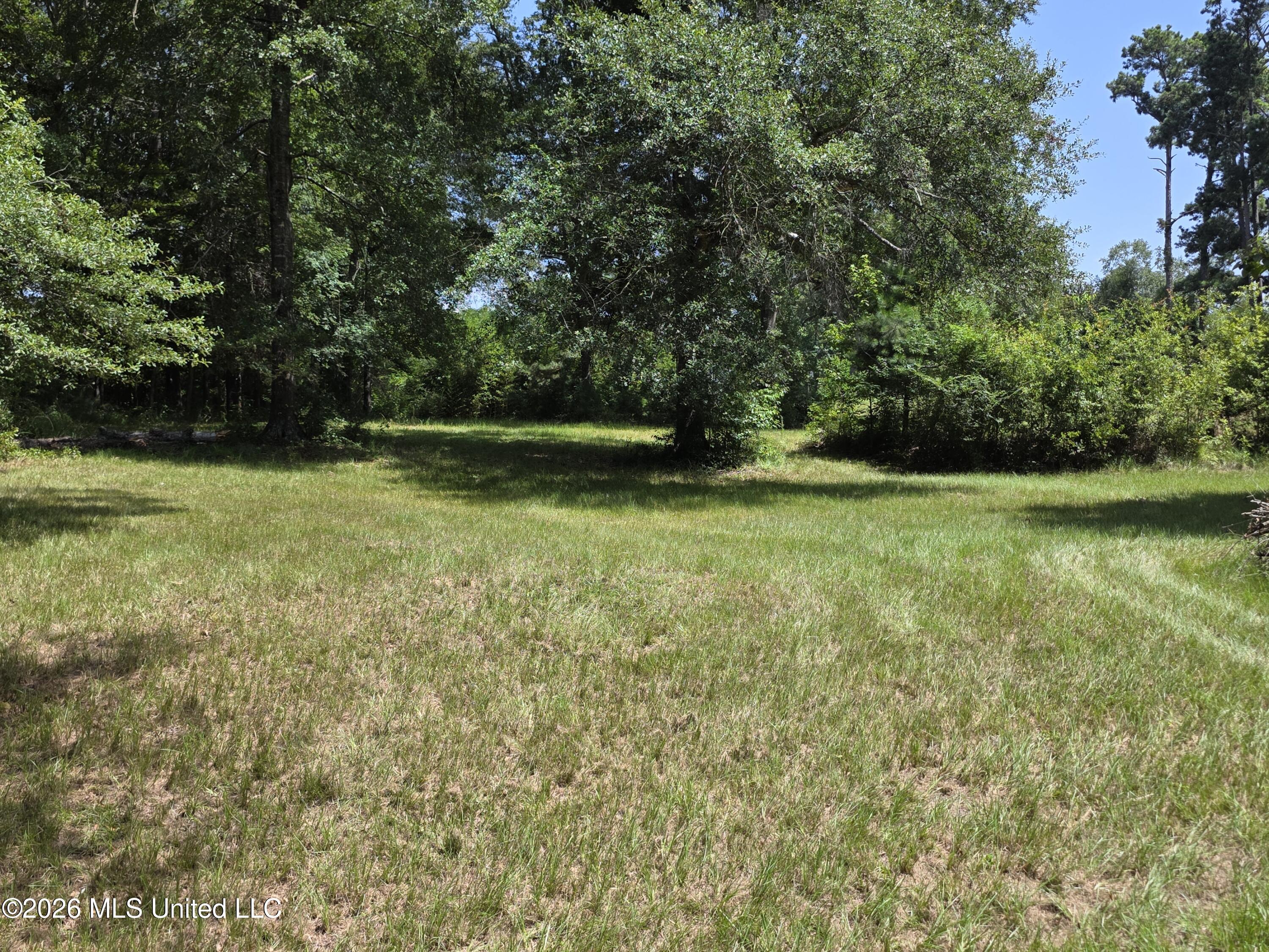 1041 3rd Street Wesson, MS 39191 - Photo 5 of 21 36589