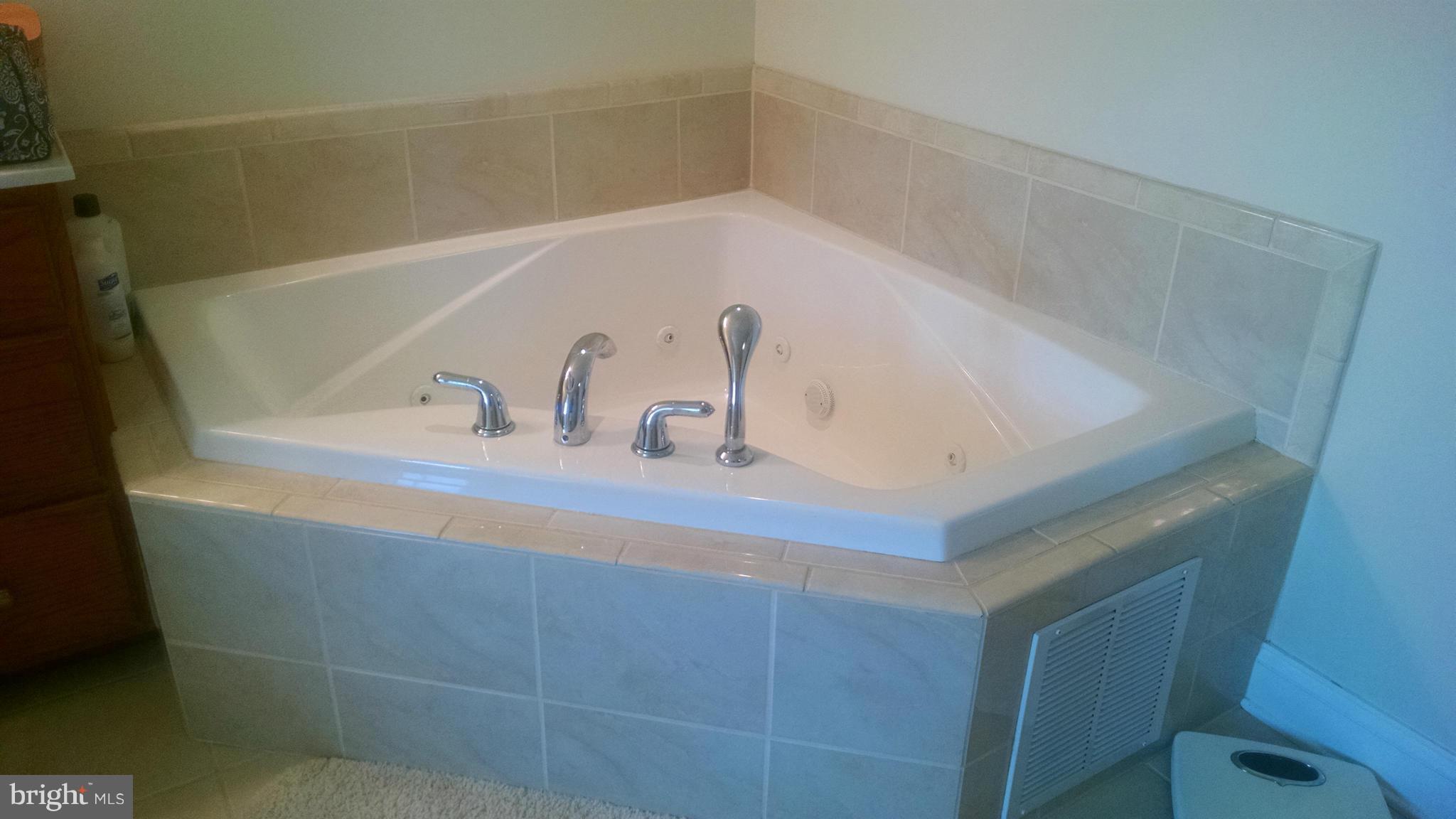 410 Will Smith Road Henderson, MD 21640 - Photo 19 of 29 Bath (Master)