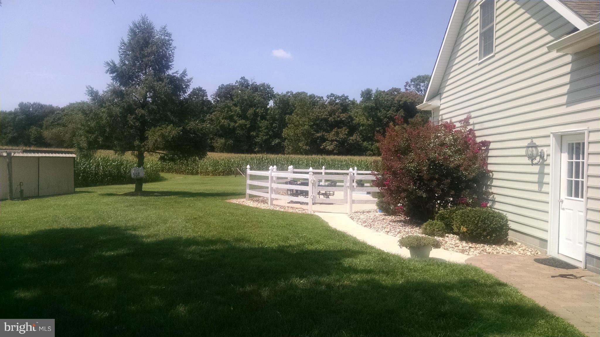 410 Will Smith Road Henderson, MD 21640 - Photo 27 of 29 Exterior (Rear)