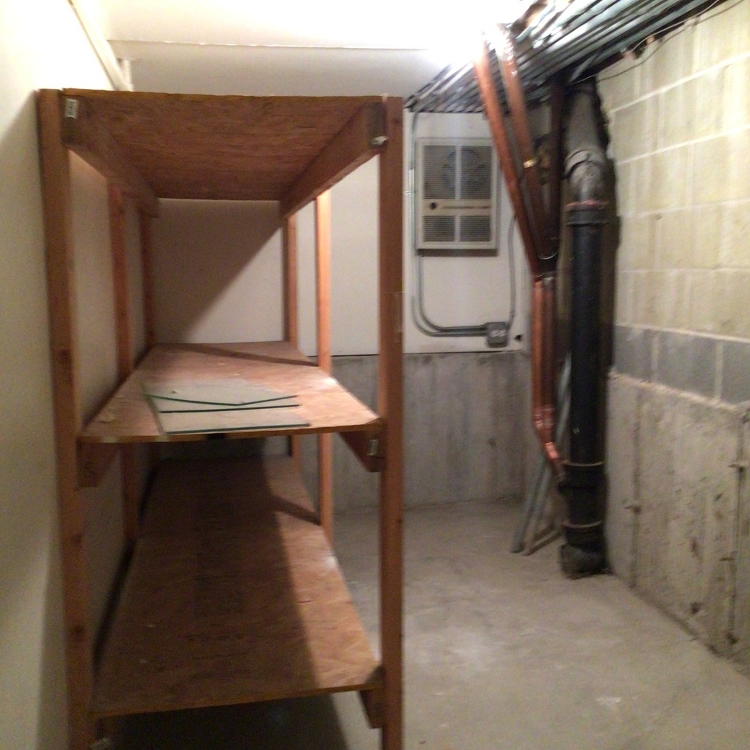 Undisclosed Address Chicago, IL 60642 - Photo 21 of 24 a close view of walk in closet
