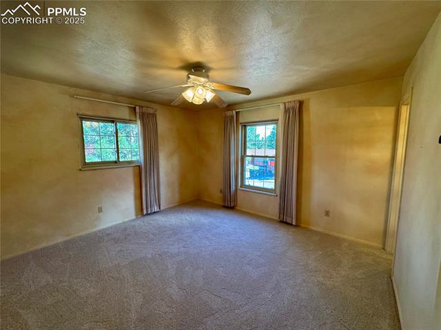 280 Raven Hills Road Colorado Springs, CO 80919 - Photo 28 of 48 Carpeted spare room featuring a textured ceiling, ceiling fan, and a wealth of natural light