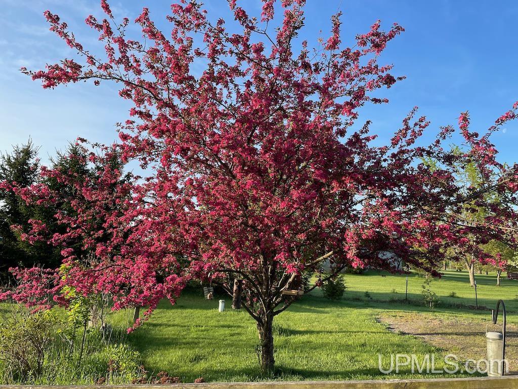 1167 Hayball Road Jackson, MI 49201 - Photo 10 of 16