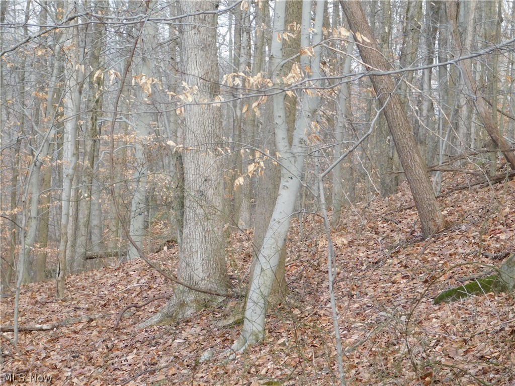 75733 Science Hill Road Newcomerstown, OH 43832 - Photo 17 of 22 Gallery Image 17
