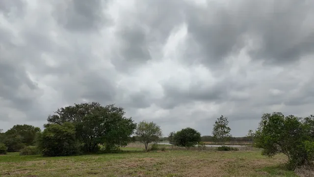 $355,000 | 0 Pintail Lane, Columbus, TX 78934