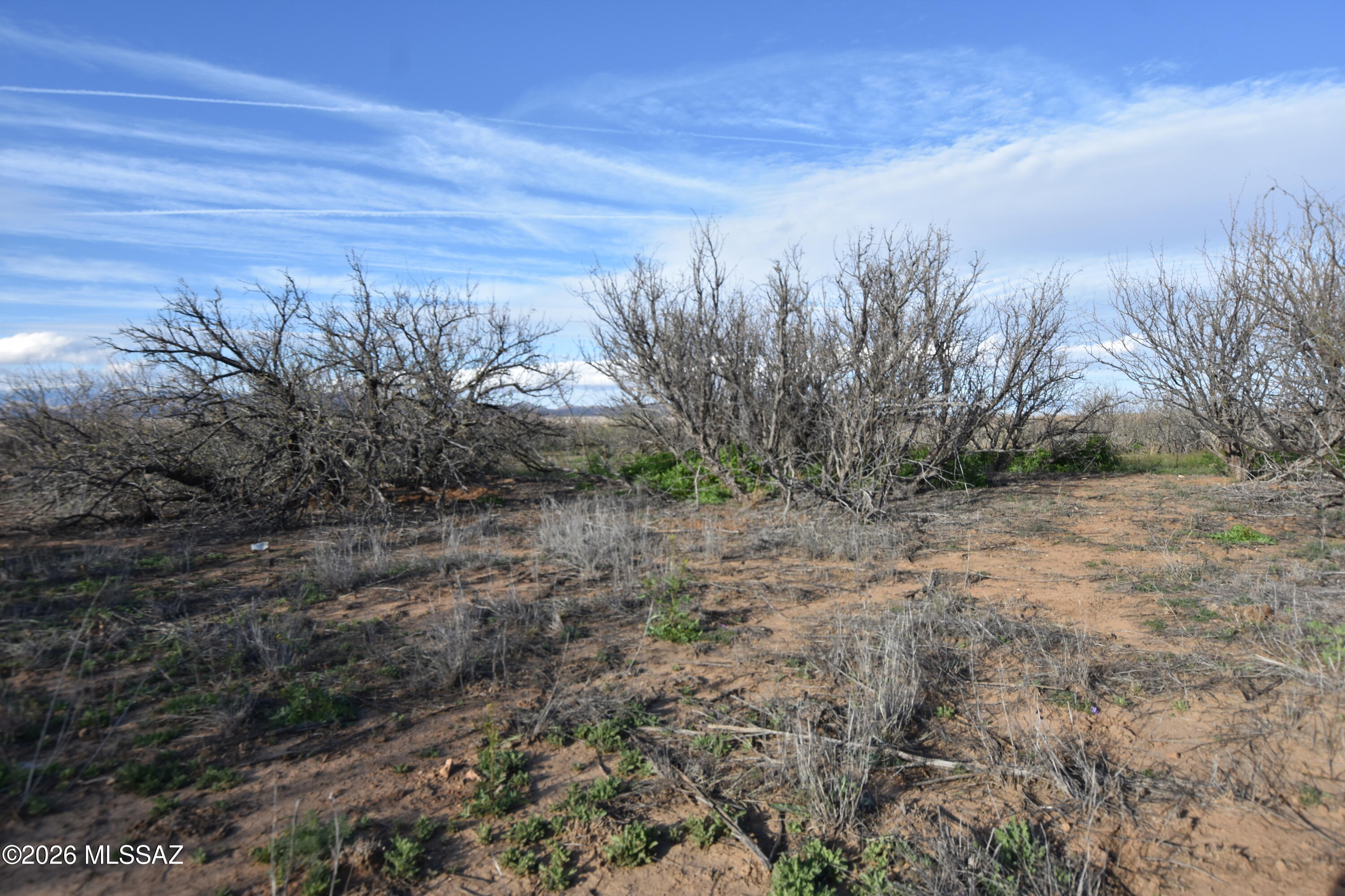 East Howling Wolf Road Willcox, AZ 85643 - Photo 14 of 49