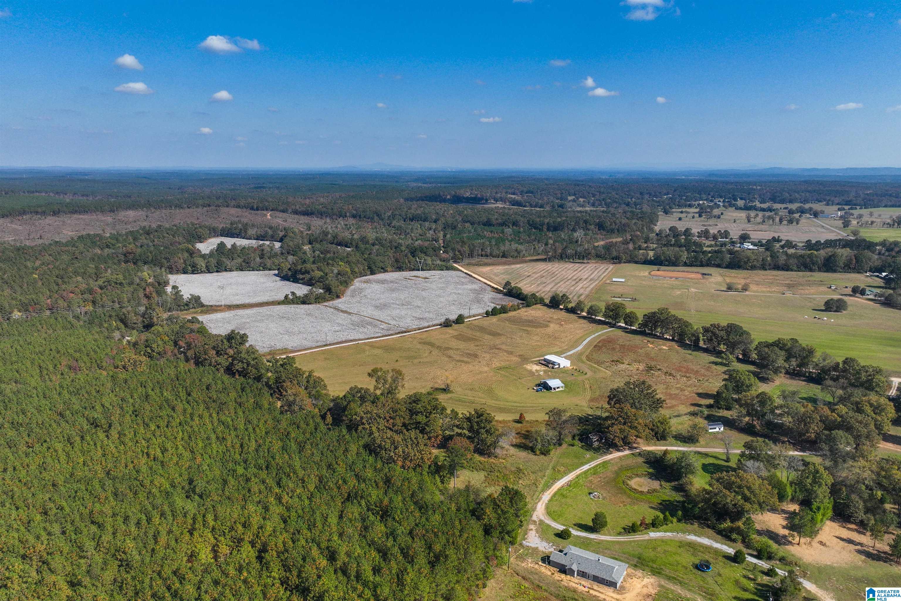 277 Jackson Farm Road Wilsonville, AL 35186 - Photo 61 of 68