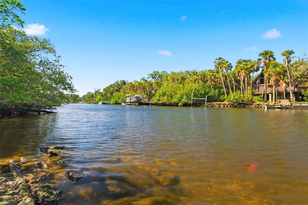 5651 Monroe Street New Port Richey, FL 34653 - Photo 46 of 61 Gallery Image 46