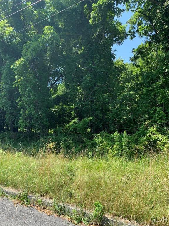 802 Atlantic Street Bethlehem, PA 18015 - Photo 1 of 1 a view of a garden with plants and large trees