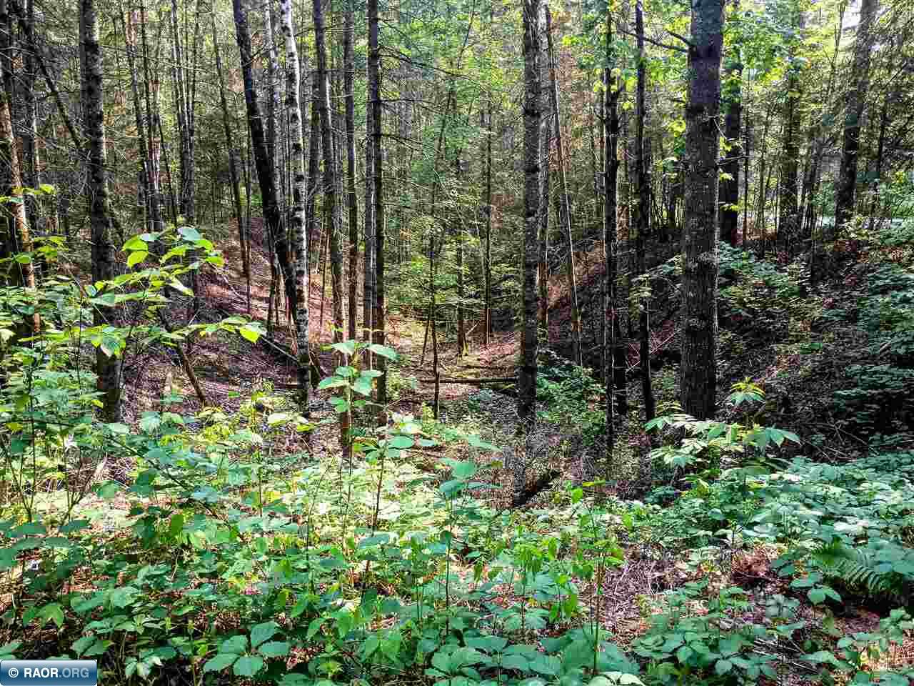 Tbd Long Lake Shores Road Eveleth, MN 55734 - Photo 4 of 6