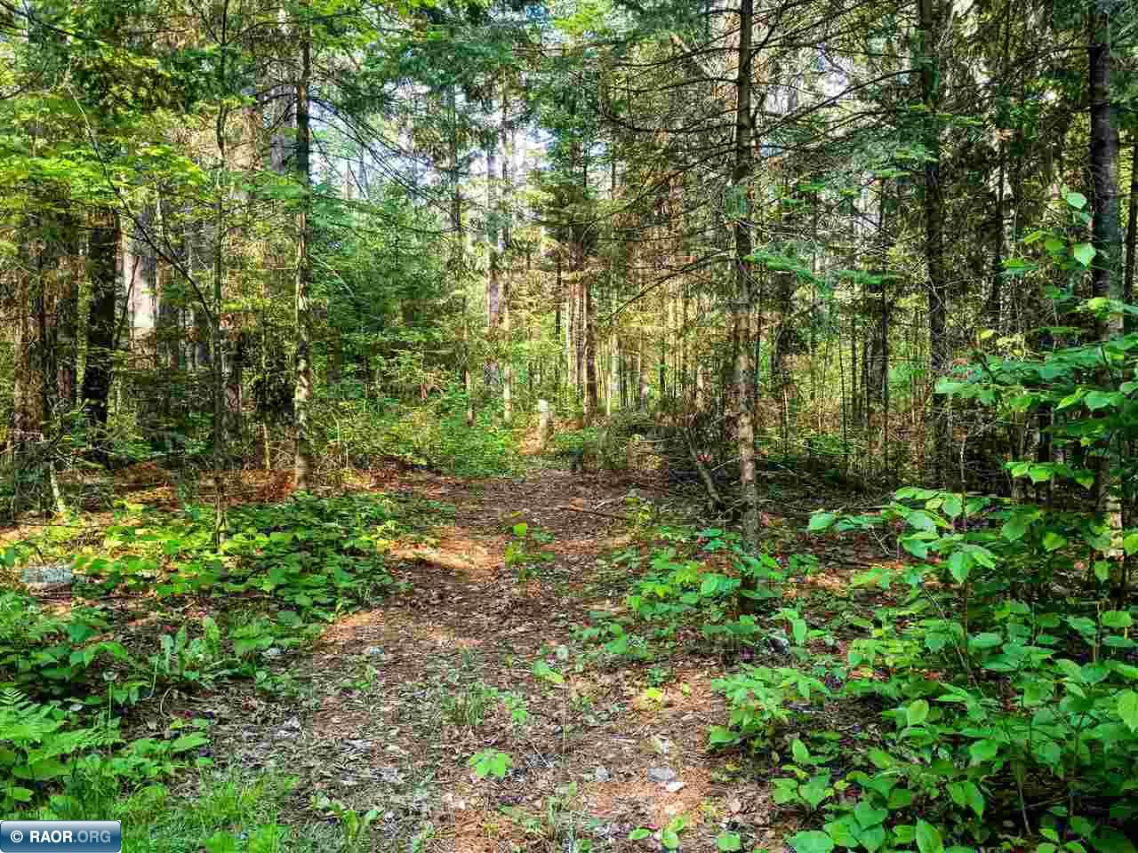 Tbd Long Lake Shores Road Eveleth, MN 55734 - Photo 5 of 6