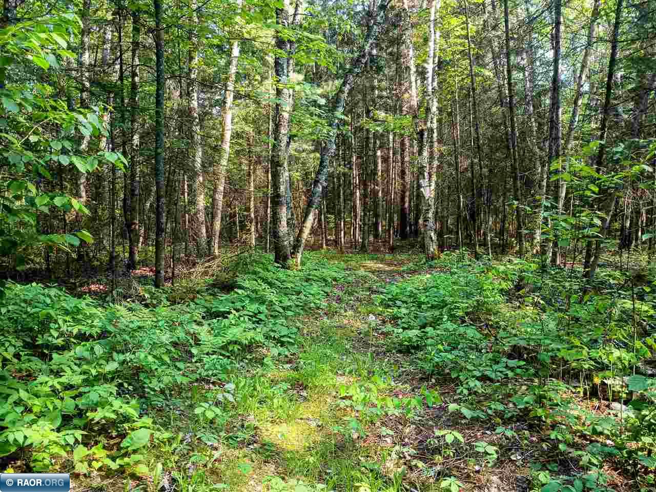 Tbd Long Lake Shores Road Eveleth, MN 55734 - Photo 6 of 6