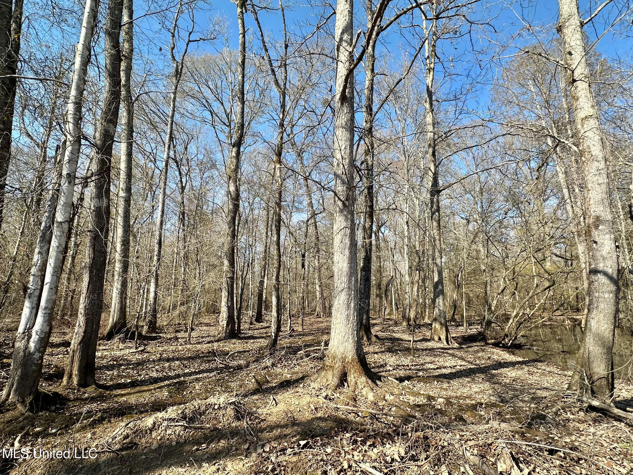 2 Evans Road Carthage, MS 39051 - Photo 21 of 51 98
