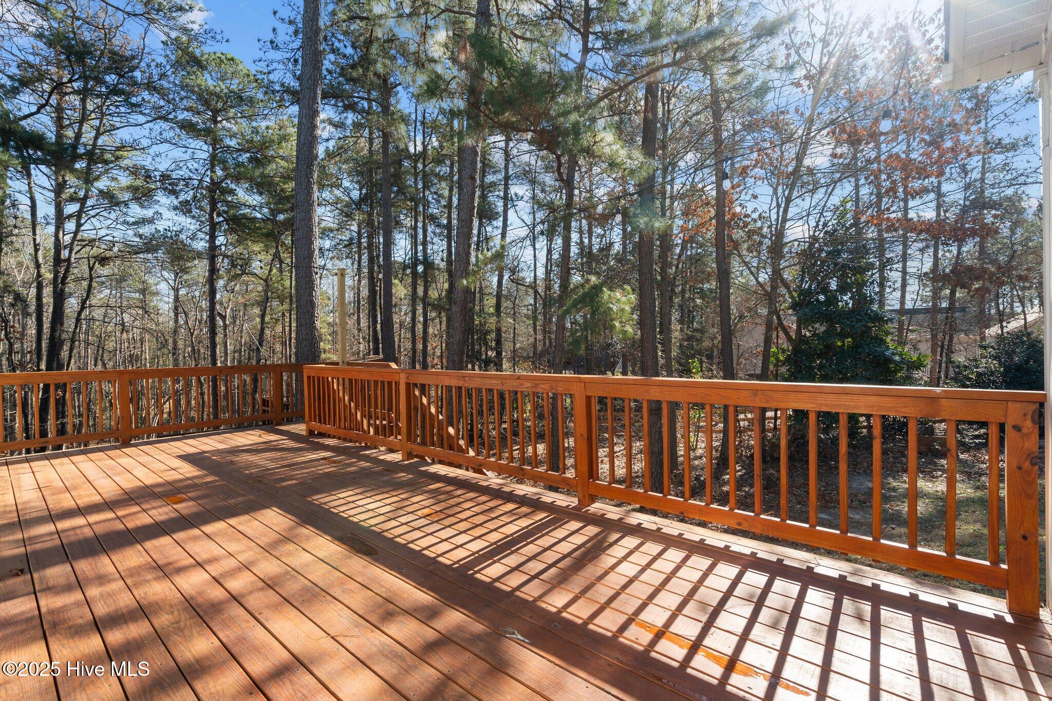 118 Rothbury Drive Carthage, NC 28327 - Photo 34 of 47 39-web-or-mls-DSC07537