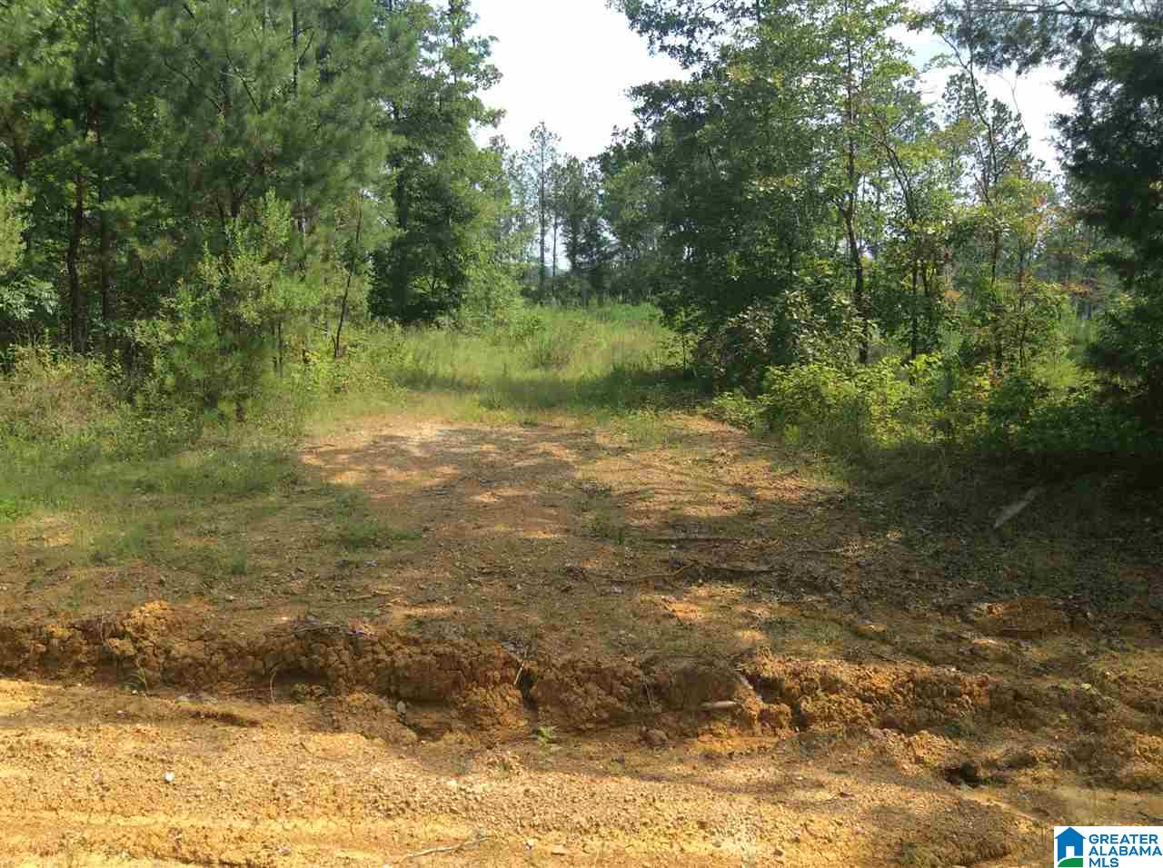 231 Highway Ashville Al, Unit 1 Ragland, AL 35131 - Photo 12 of 26 Gallery Image 12