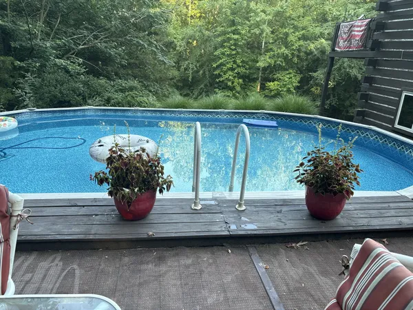 a view of outdoor space with a potted plant