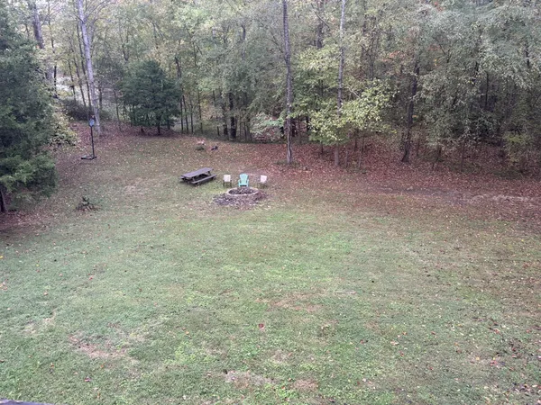 a view of a forest with trees in the background