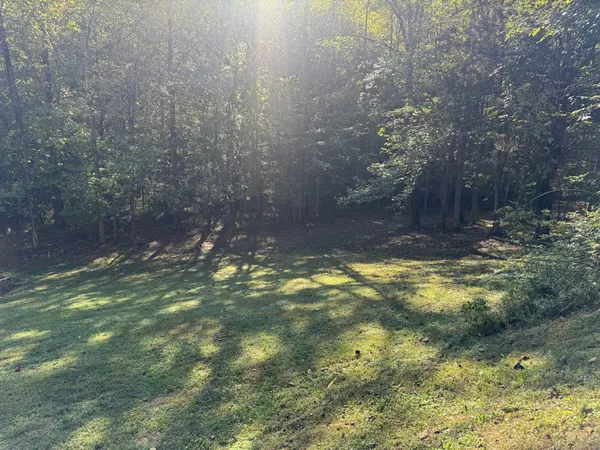 a view of park with trees