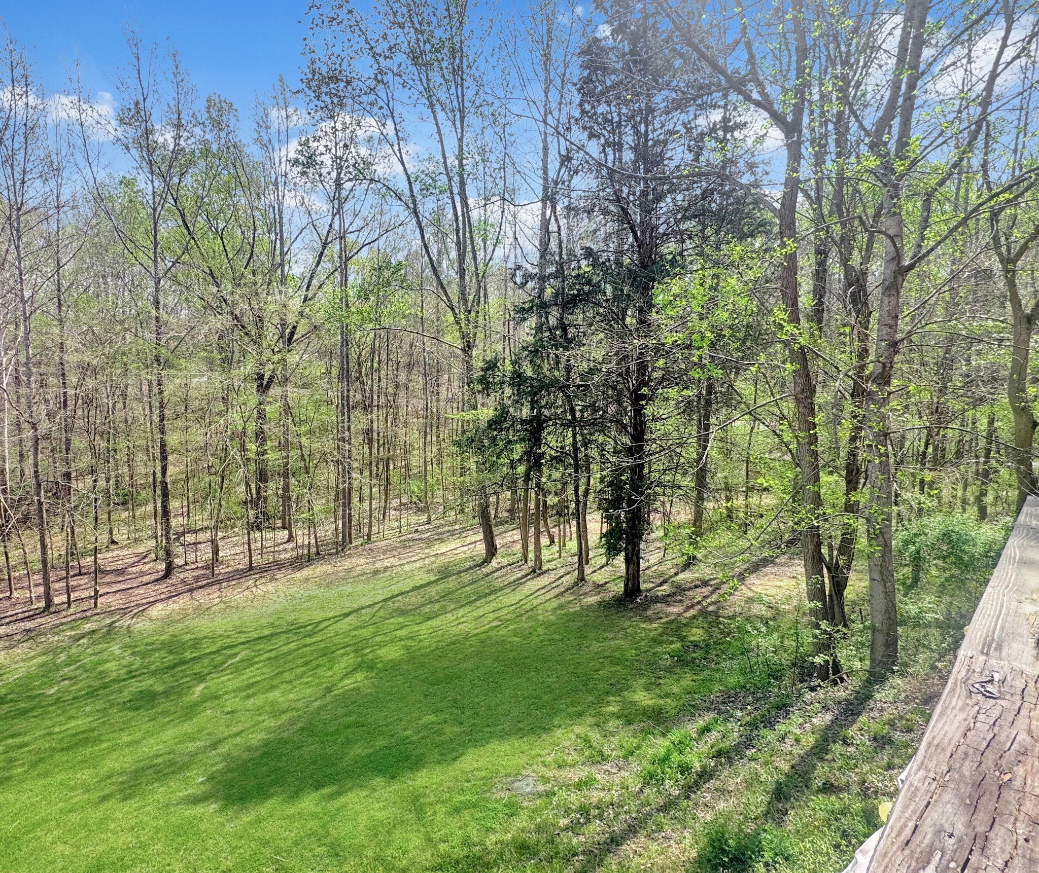 480 Hickman Shores Road Dover, TN 37058 - Photo 40 of 44 a view of park with trees