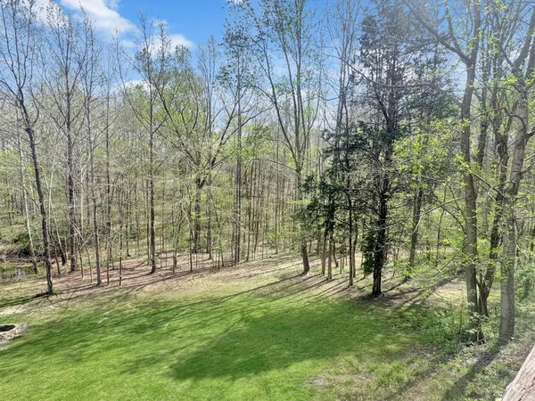 a view of a park with large trees