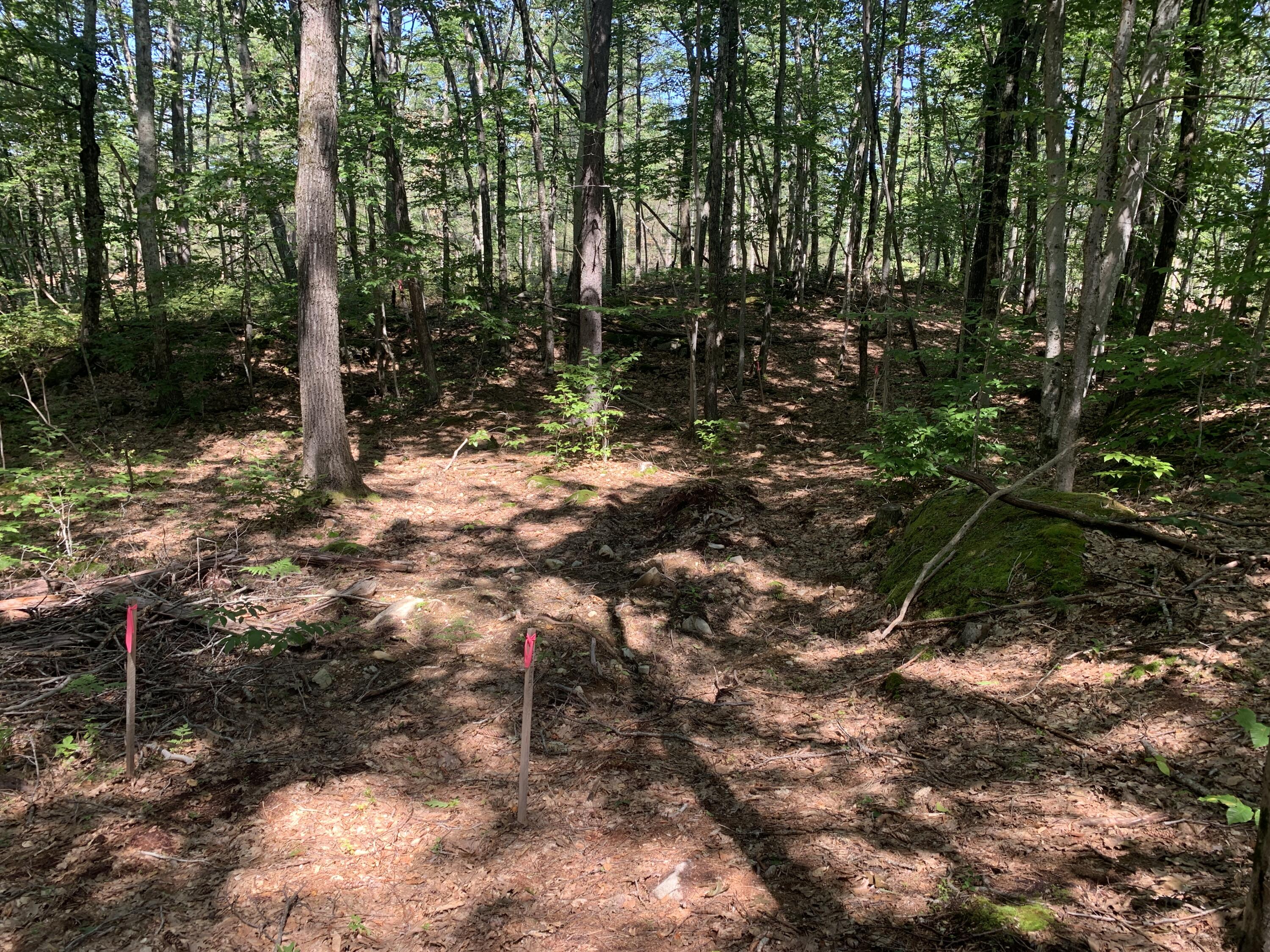Lot 19 Punkintown Road Eliot, ME 03903 - Photo 6 of 7 IMG_8994