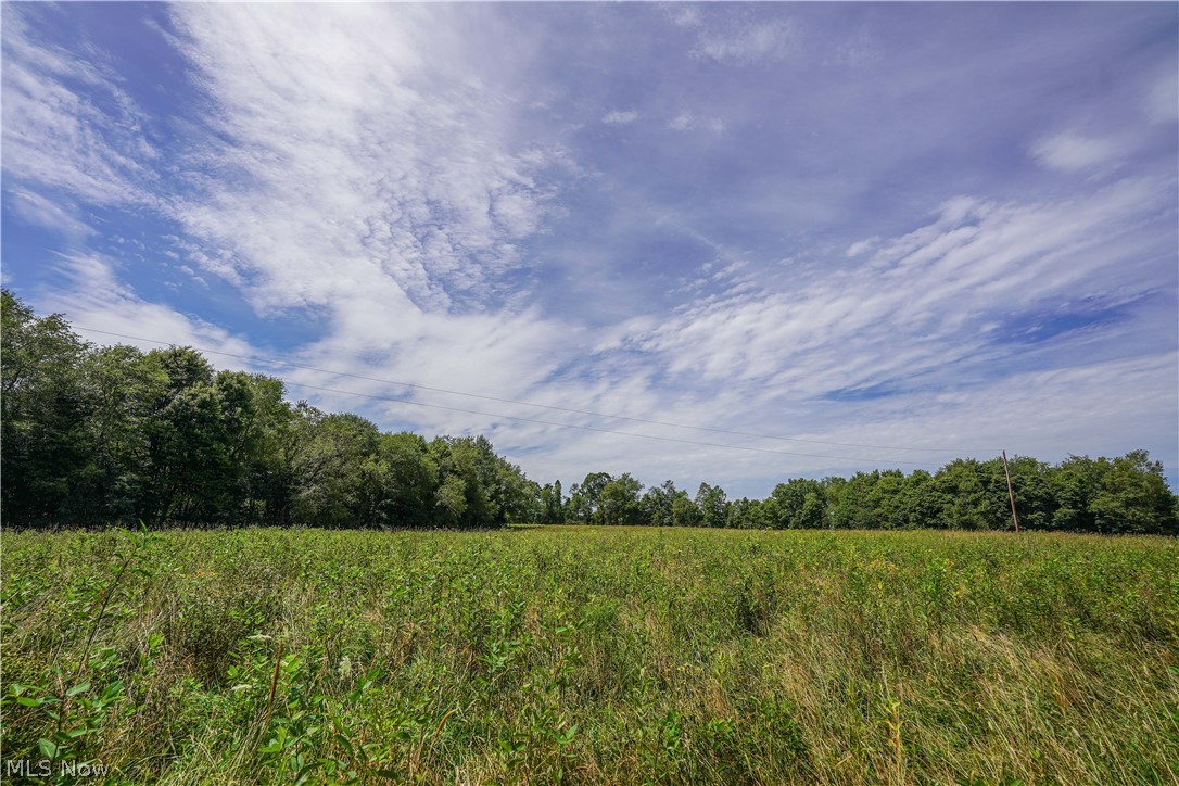 New Rumley Road Jewett, OH 43986 - Photo 12 of 23