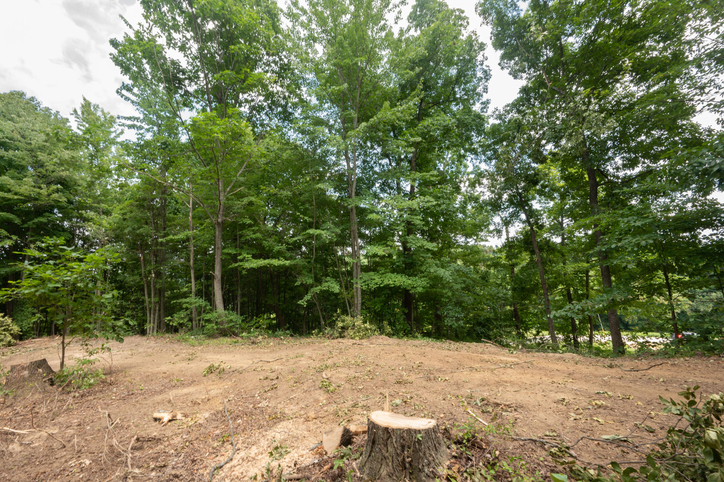 Lot 15 Rock House Ridge Stanton, KY 40380 - Photo 5 of 24 DSC_3825