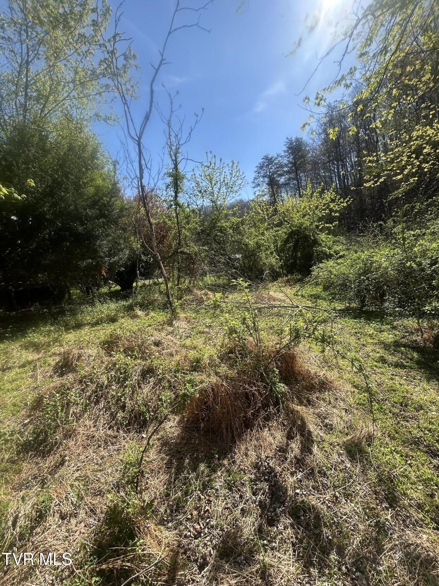 807 Cleghorn Valley Road Marion, VA 24354 - Photo 2 of 4 IMG_3994 (1)