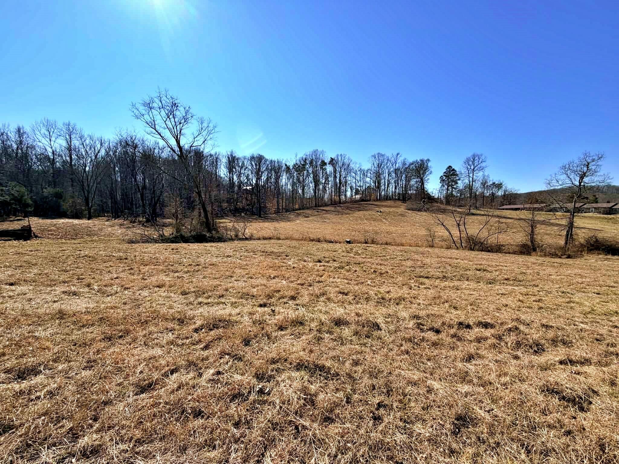 1678 Ward Road Decatur, TN 37322 - Photo 1 of 20 Gallery Image 1