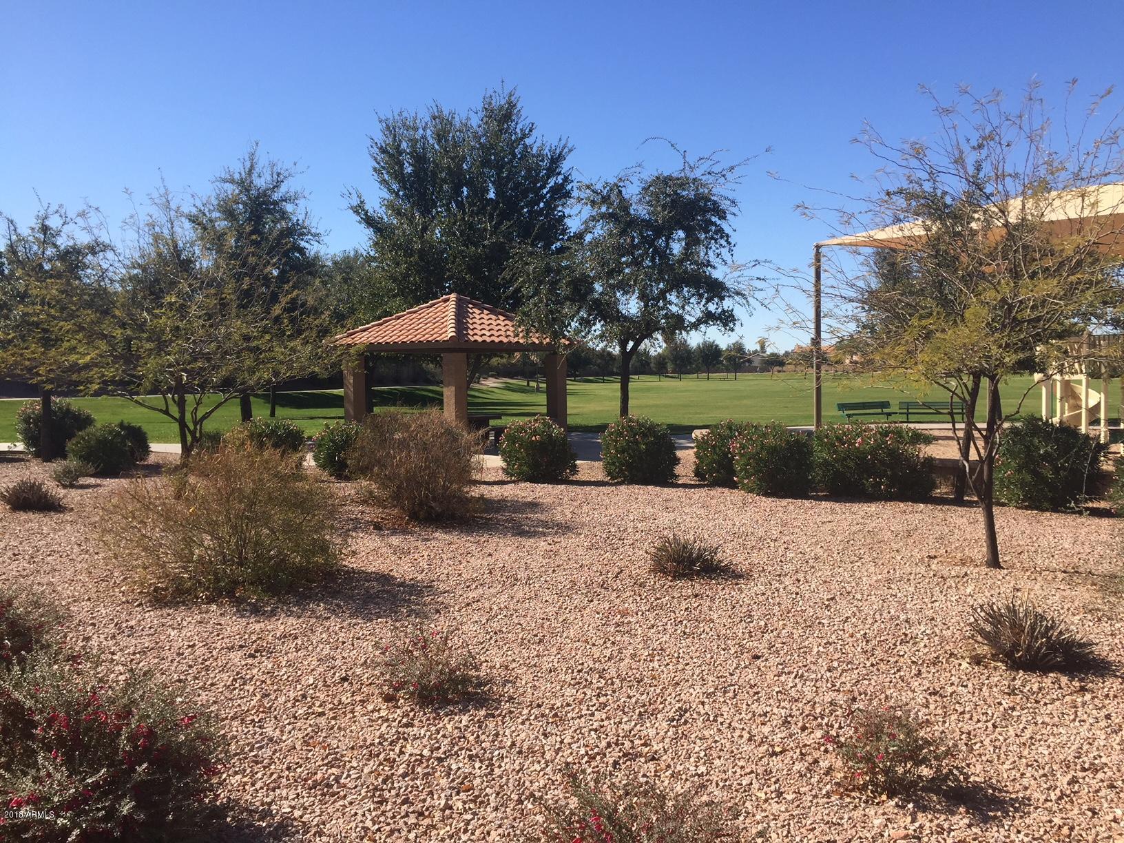 1420 East Silver Creek Road Gilbert, AZ 85296 - Photo 13 of 15 park 2