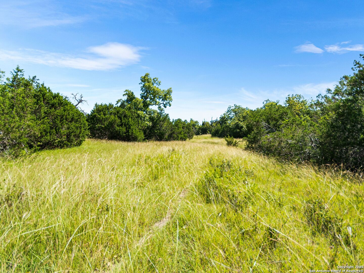 4369 Reeh-Weinheimer Road Fredericksburg, TX 78624 - Photo 79 of 80