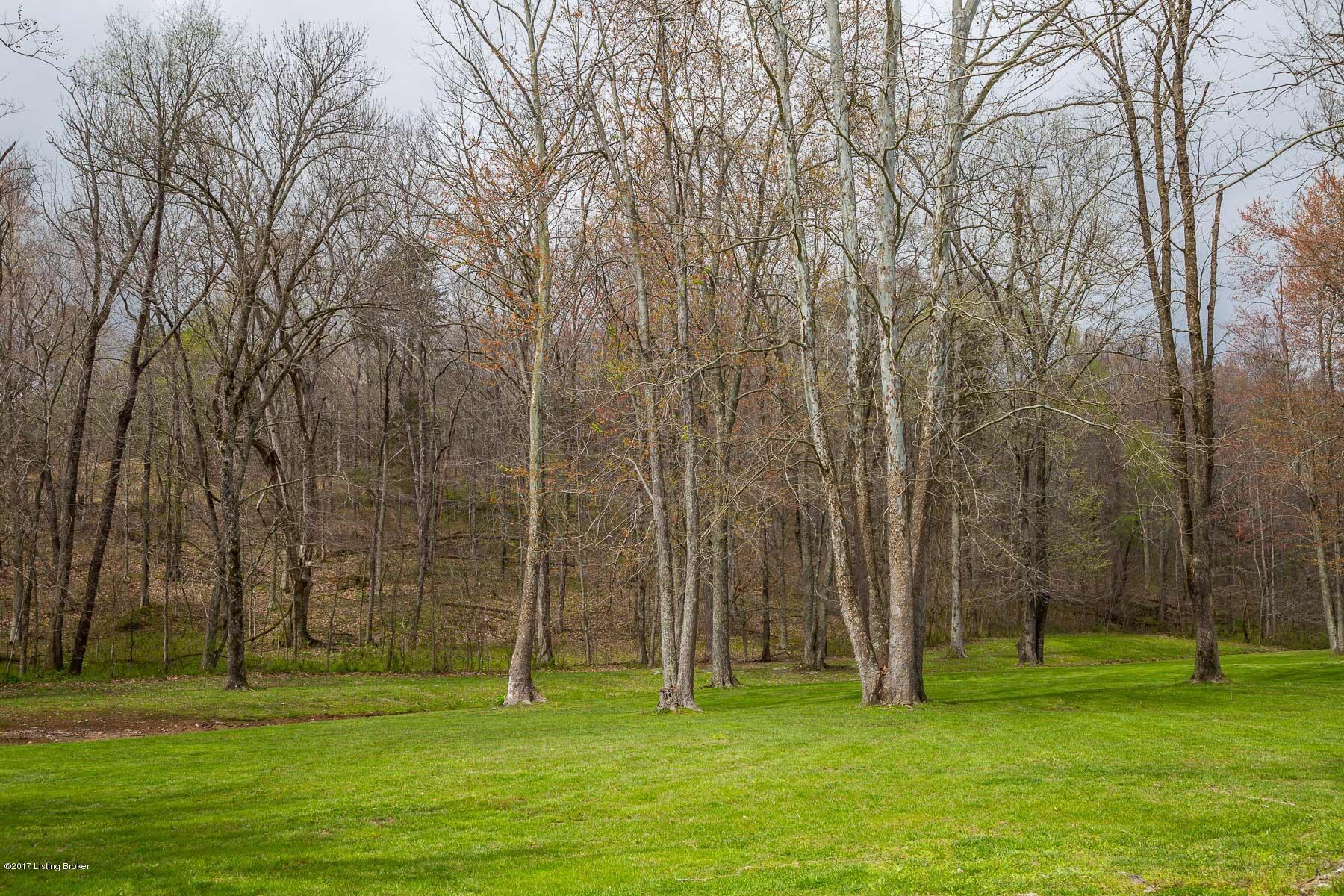 6810 Nat Rogers Road Boston, KY 40107 - Photo 39 of 40 Photo Apr 06, 7 45 38 PM (4)