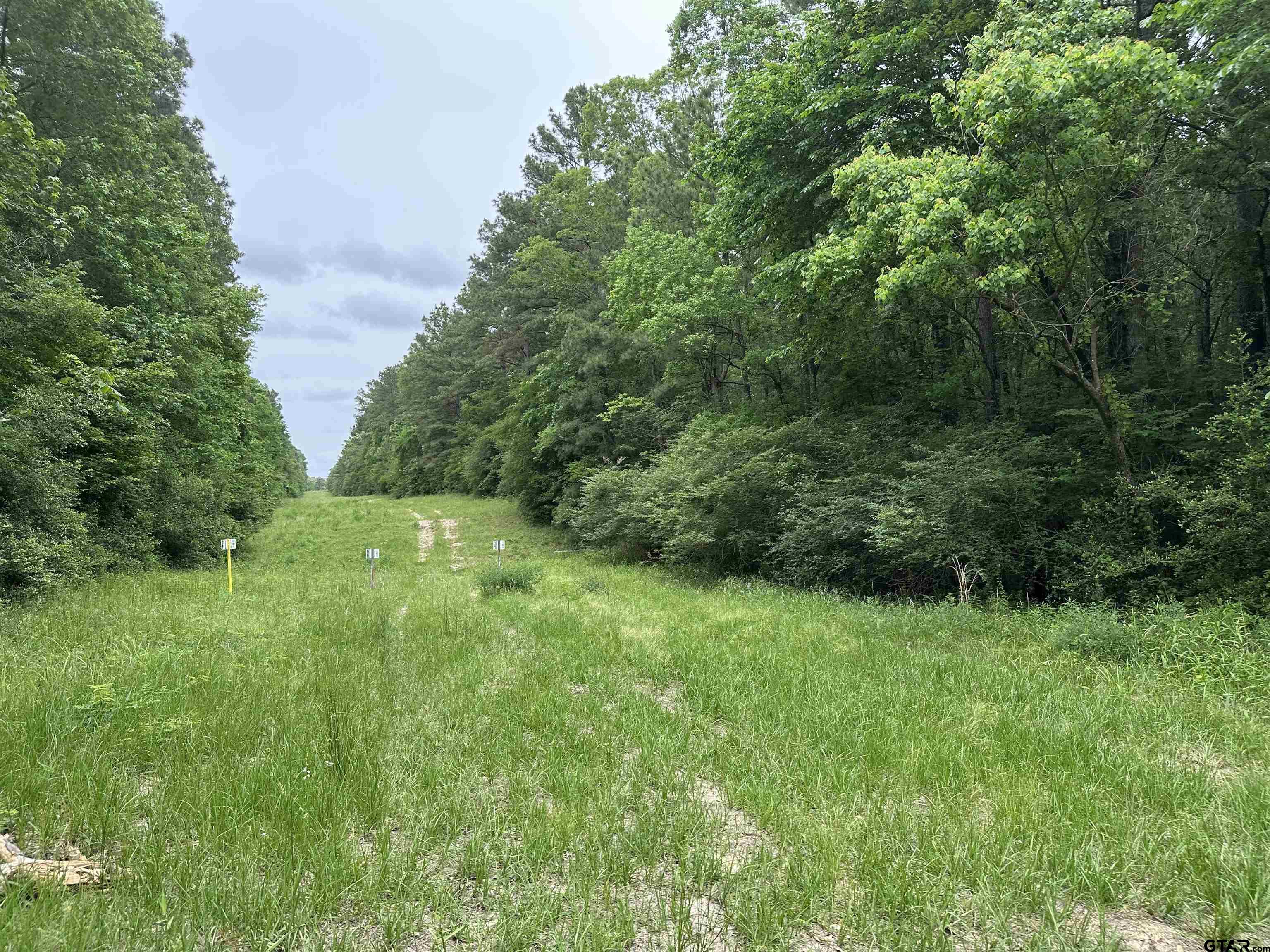 Tbd Sand Road Lufkin, TX 75904 - Photo 15 of 27