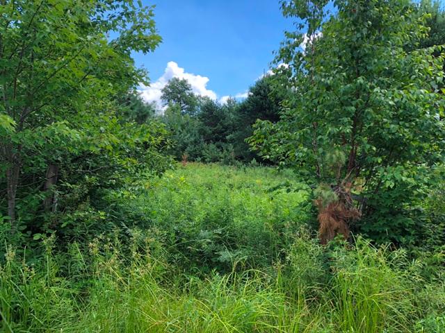 Lot Reichel, Reichel Road Exeland, WI 54835 - Photo 1 of 1