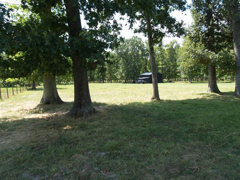 396 Whitt Road Richmond, KY 40475 - Photo 11 of 59 Photo 11