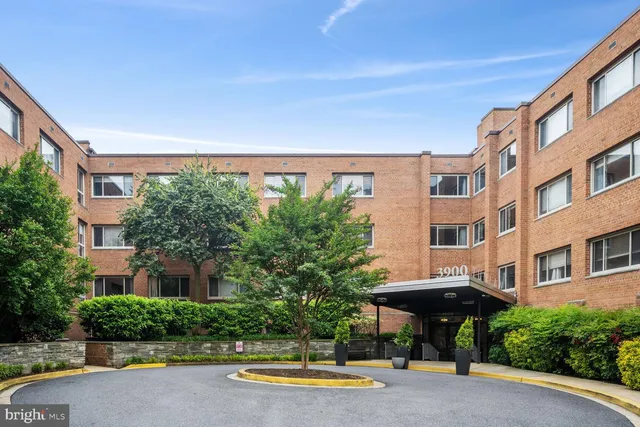 a view of swimming pool with lawn chairs and plants