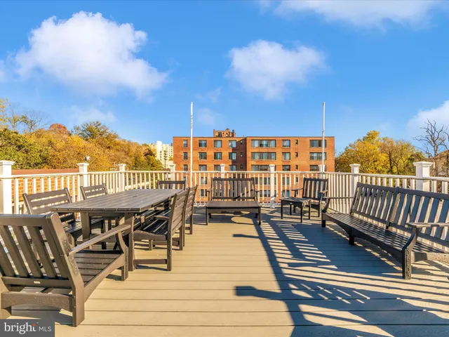 a view of a garden with plants
