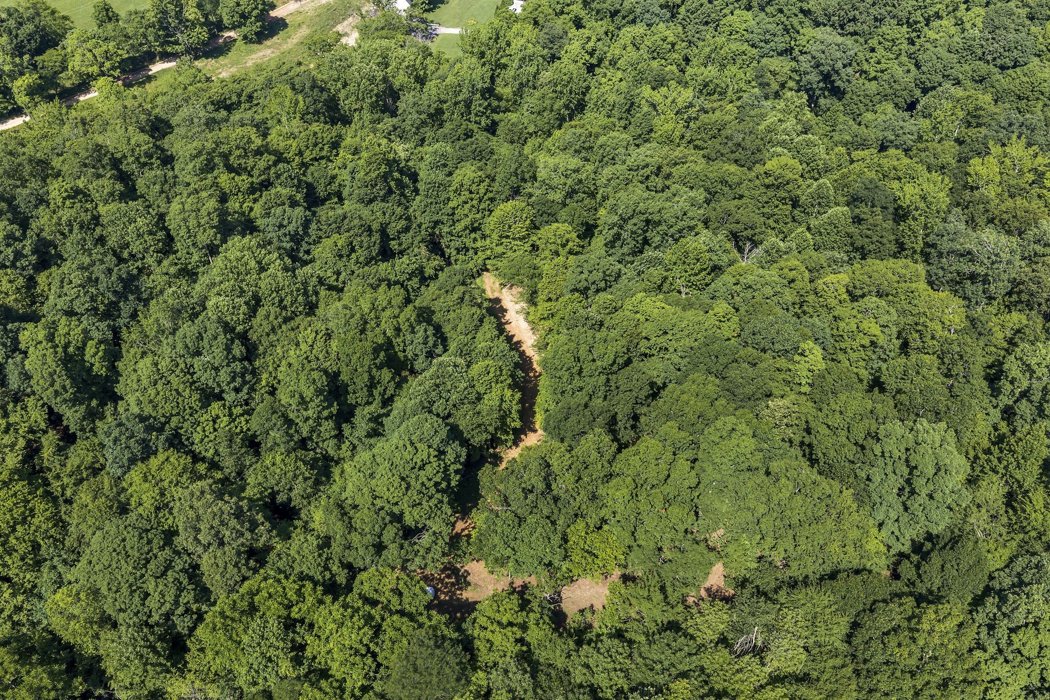 0 East Blue Creek Road McEwen, TN 37101 - Photo 14 of 17