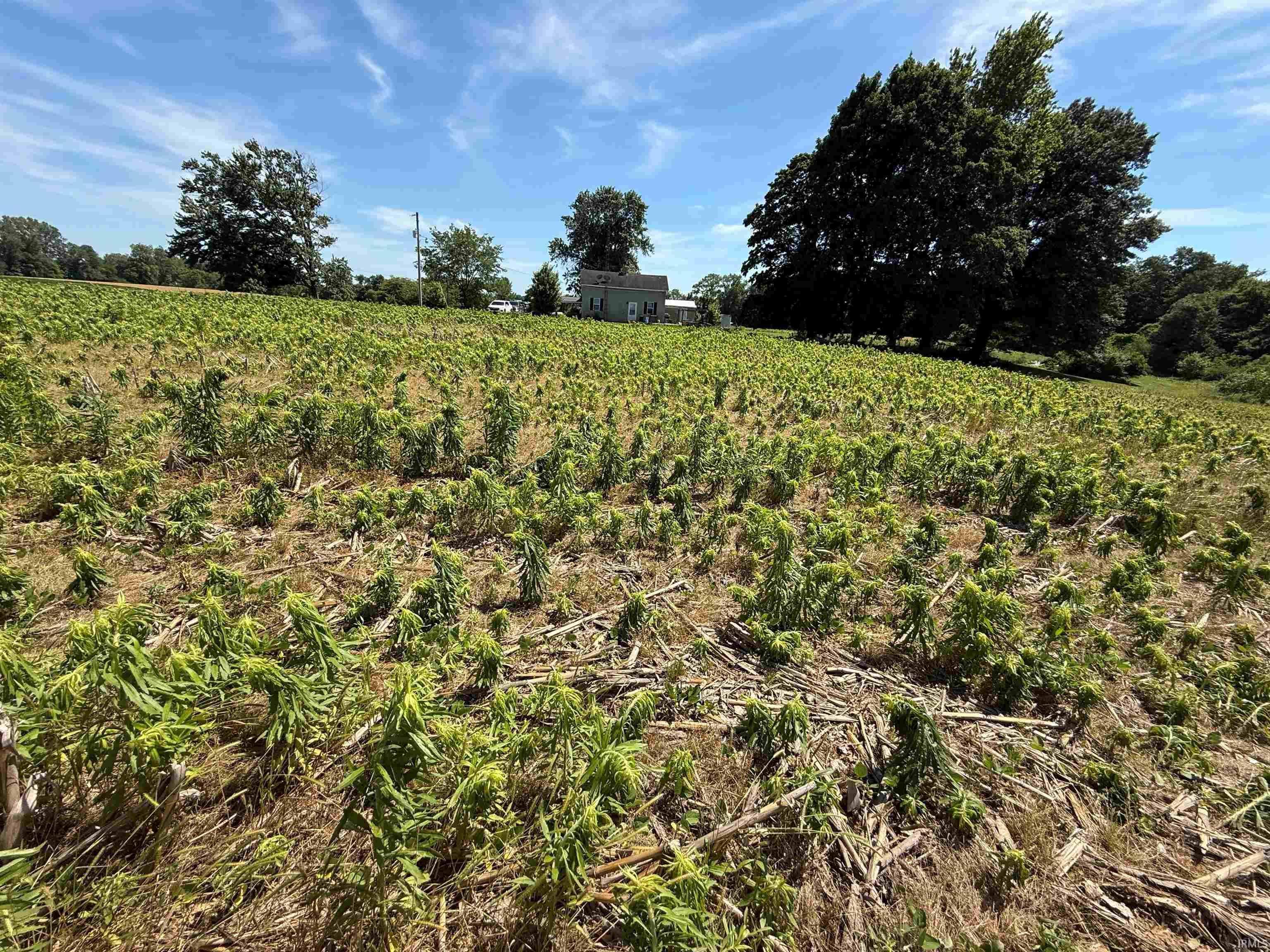 200 West N Co Road Petersburg, IN 47567 - Photo 14 of 15 Gallery Image 14