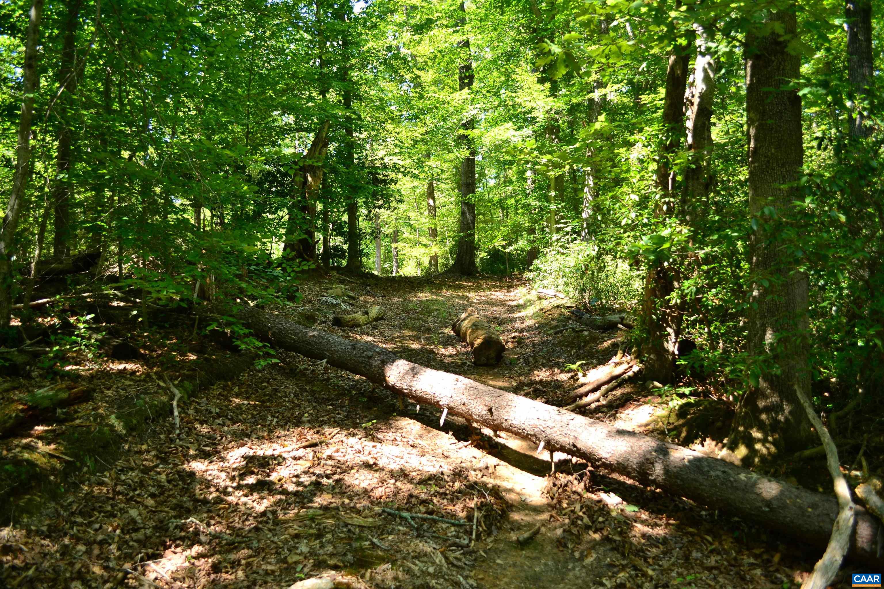 Tbd Damon Road Schuyler, VA 22969 - Photo 7 of 14 Gallery Image 7