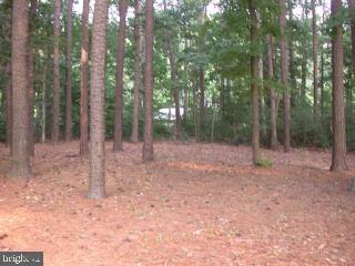 57 Abbyshire Road Ocean Pines, MD 21811 - Photo 6 of 10