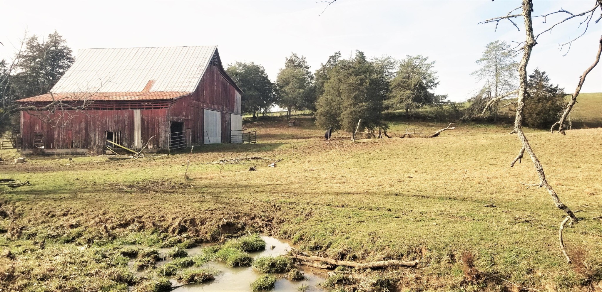 8321 Bud Hawkins Road Corryton, TN 37721 - Photo 1 of 8