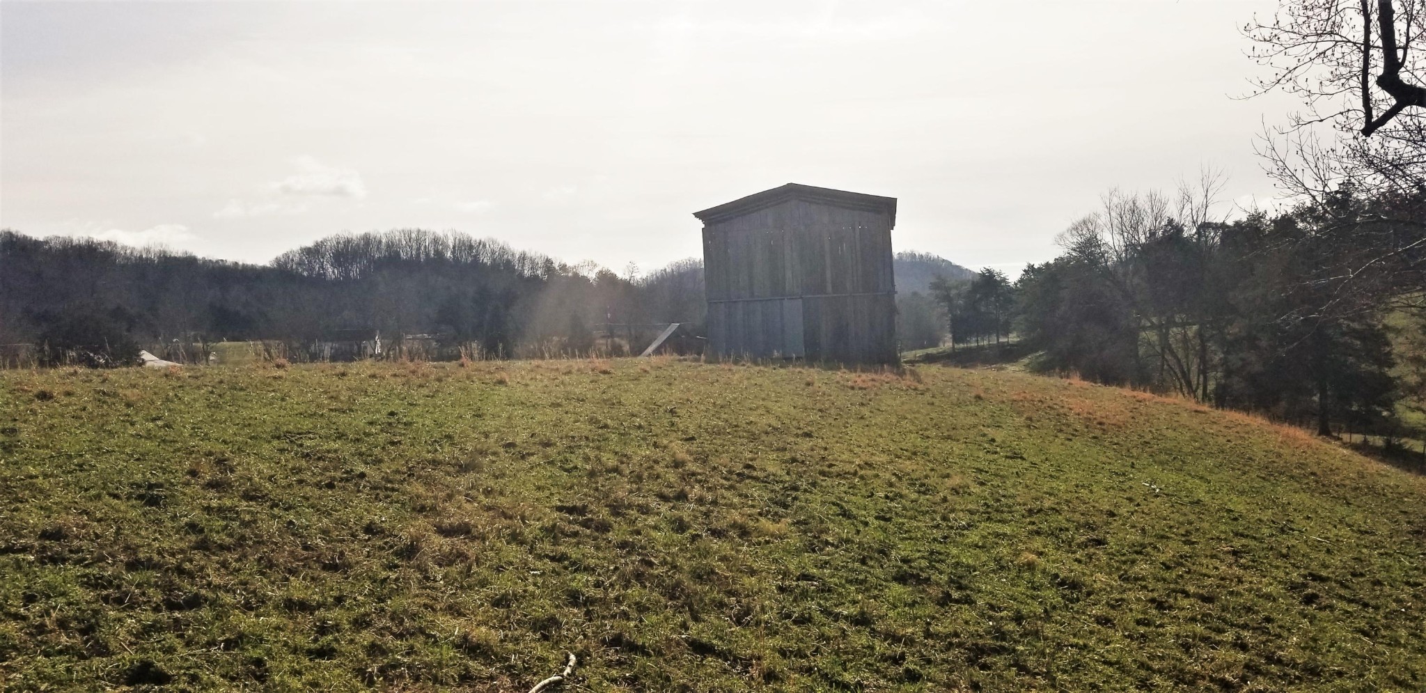 8321 Bud Hawkins Road Corryton, TN 37721 - Photo 3 of 8