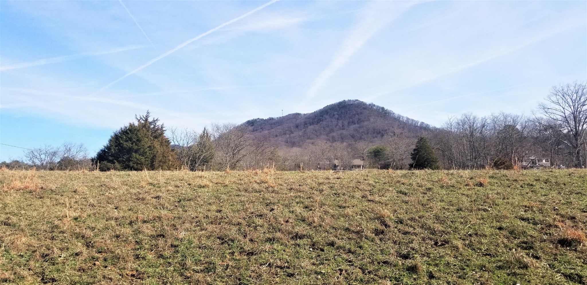 8321 Bud Hawkins Road Corryton, TN 37721 - Photo 4 of 8