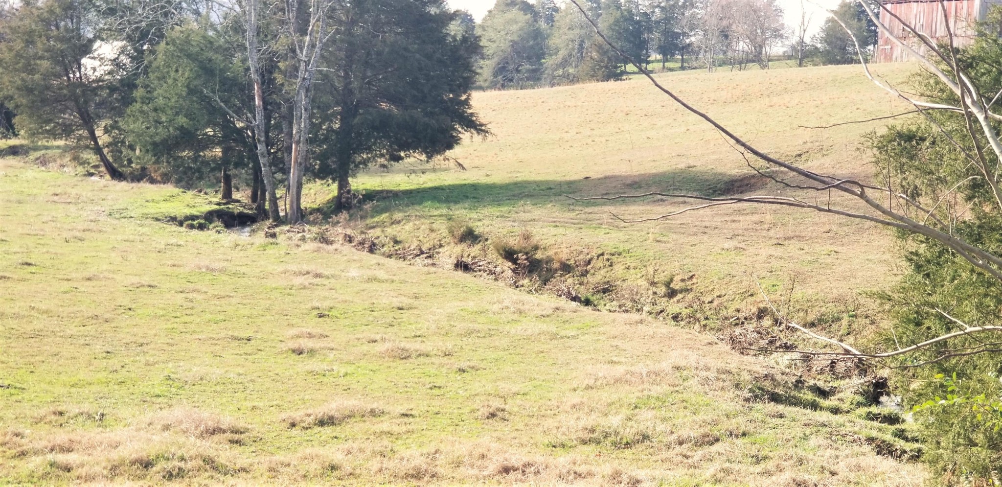 8321 Bud Hawkins Road Corryton, TN 37721 - Photo 6 of 8